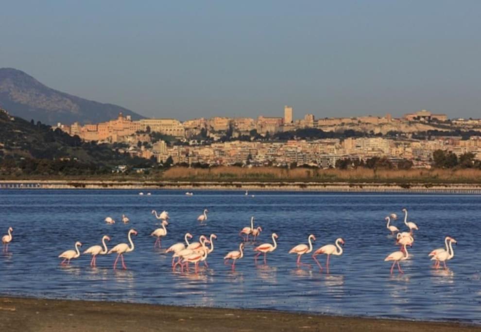 Stupenda Suite A Cagliari Piazza Galilei Екстериор снимка